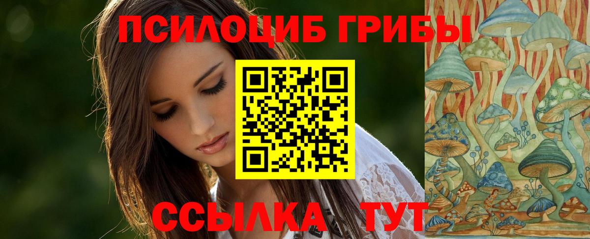 Апшеронск  Галлюциногенные грибы Psilocybine cubensis  Псилоцибиновые грибы прущие грибы  Вход с VPN 