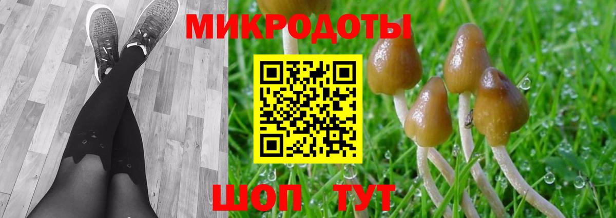 Галлюциногенные грибы MAGIC MUSHROOMS  Апшеронск  Псилоцибиновые грибы мухоморы 